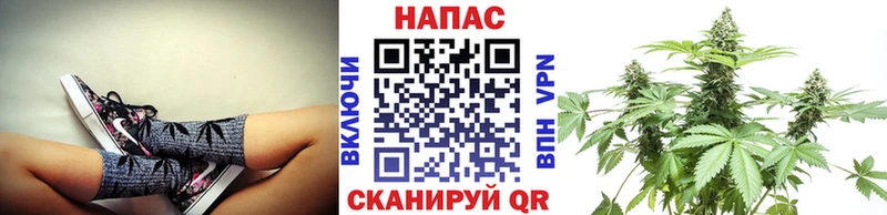 Бошки марихуана Bruce Banner  Купить закладки  Аркадак 